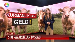 Kurban pazarları kuruldu!