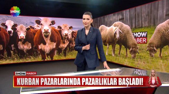 Kurban pazarlarında pazarlıklar başladı!