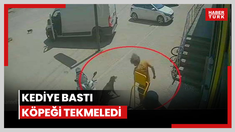 Kediye bastı, köpeği tekmeledi