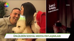 fragman