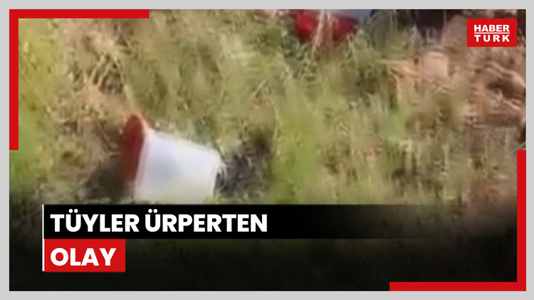 Tüyleri ürperten olay