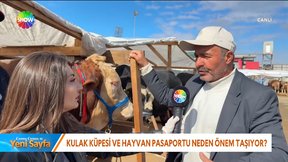 fragman