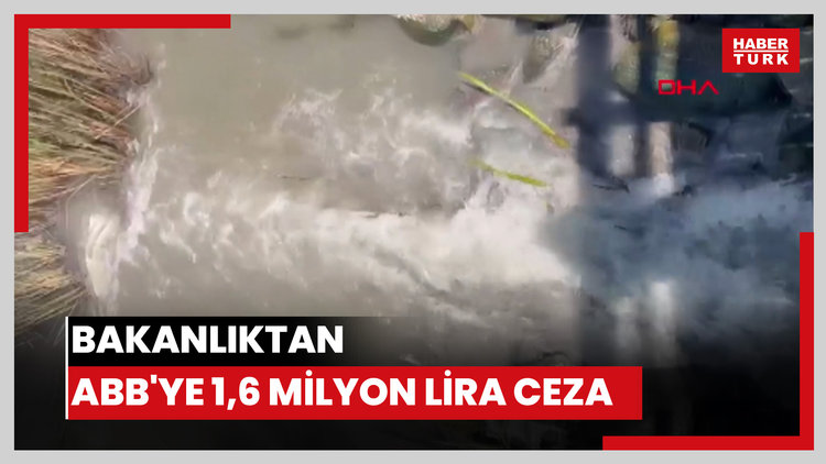 Bakanlıktan ABB'ye 1,6 milyon lira ceza