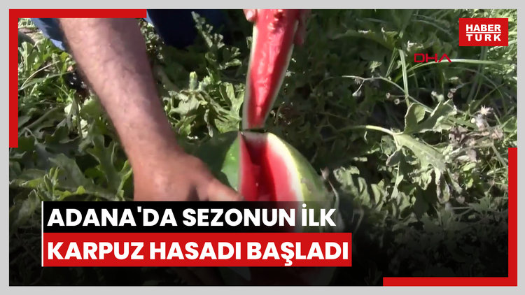 Adana'da sezonun ilk karpuz hasadı başladı