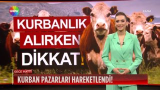 Kurban pazarları hareketlendi!