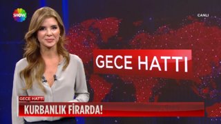 Önüne gelene çarptı!
