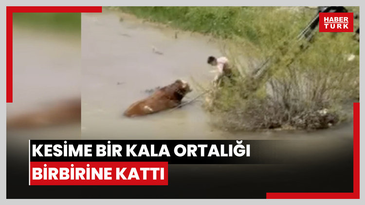 Kesime bir kala ortalığı birbirine kattı