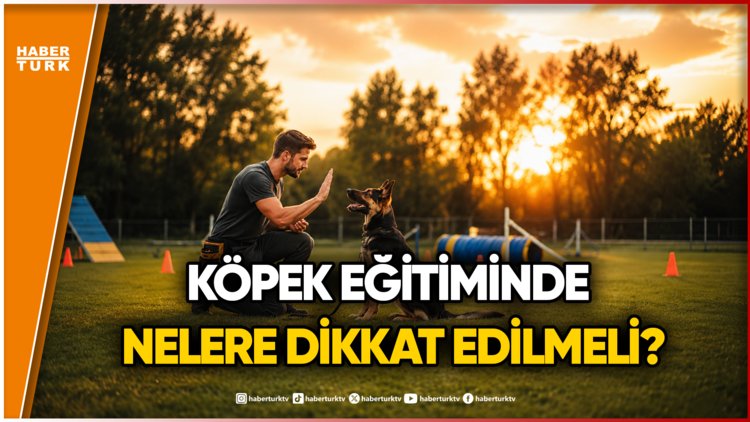 Köpeklerle Doğru İletişim Nasıl Kurulur?