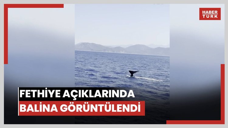 Fethiye açıklarında balina görüntülendi