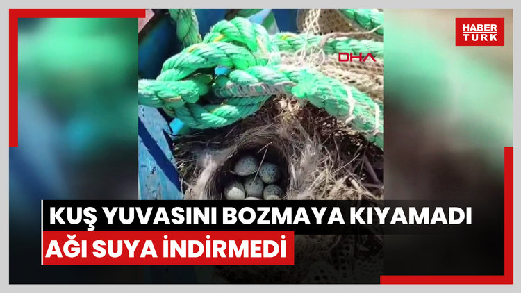 Kuş yuvasını bozmaya kıyamadı, ağı suya indirmedi