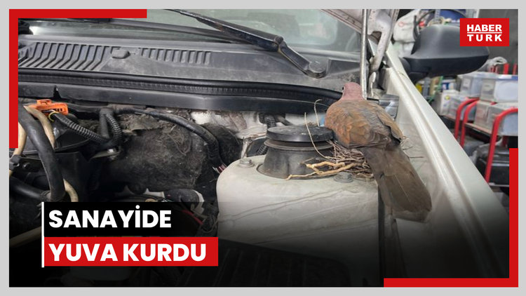Sanayide yuva kurdu