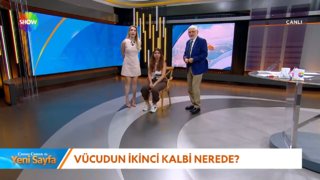 Vücudun ikinci kalbi nerede?