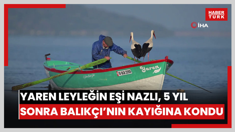 Yaren leyleğin eşi Nazlı, 5 yıl aradan sonra balıkçı Adem Yılmaz'ın kayığına kondu