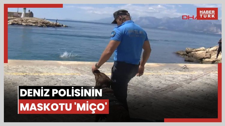 Deniz polisinin maskotu 'Miço'