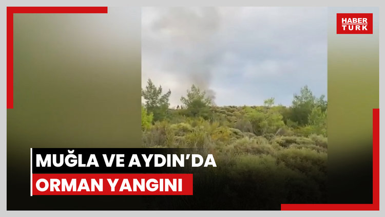 Muğla ve Aydın'da orman yangını