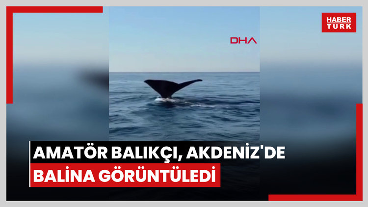 Amatör balıkçı, Akdeniz'de balina görüntüledi
