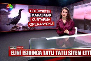 Elini ısırınca tatlı tatlı sitem etti... 