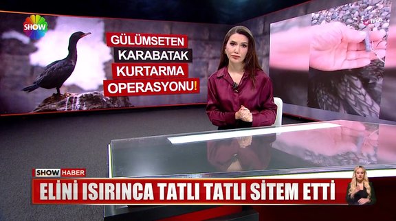 Elini ısırınca tatlı tatlı sitem etti... 