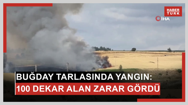 (TEKİRDAĞ) Buğday tarlasında yangın: 100 dekar alan zarar gördü