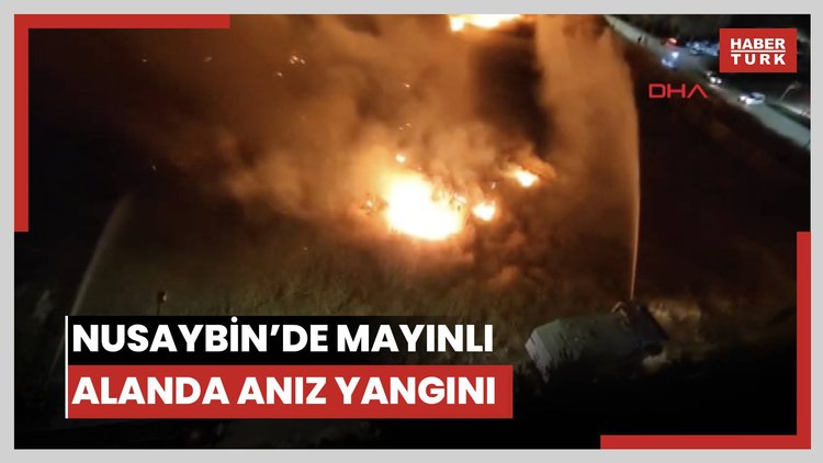 Nusaybin'de sınırdaki mayınlı araziye ulaşan anız yangını 3 saatte söndürüldü