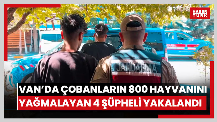 Van'da çobanları tehdit ederek 800 hayvanı yağmalayan 4 şüpheli yakalandı
