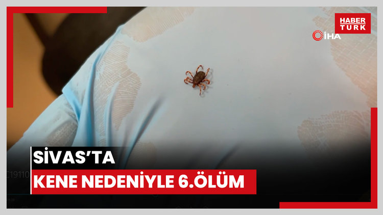 Sivas'ta kene nedeniyle 6.ölüm