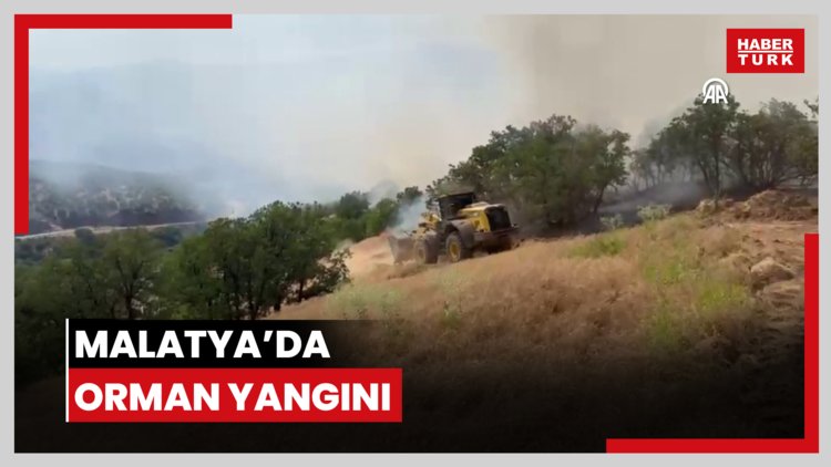 Malatya'da orman yangını