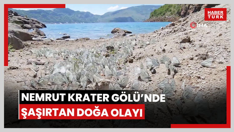Nemrut Krater Gölü'nde şaşırtan doğa olayı