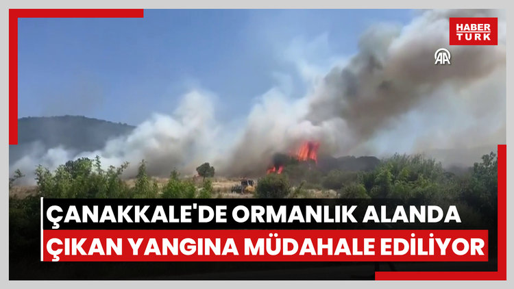 Çanakkalede ormanlık alanda çıkan yangına müdahale ediliyor