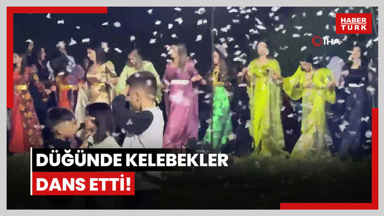 Düğünde kelebekler dans etti!