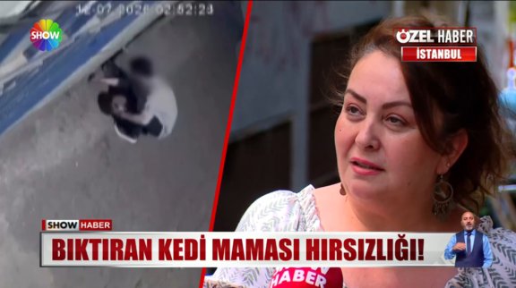 Bıktıran kedi maması hırsızlığı!