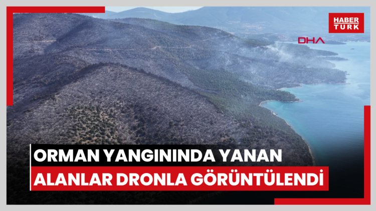 Milas'taki orman yangınında yanan alanlar dronla görüntülendi