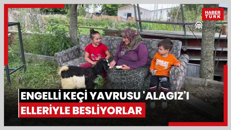 Engelli keçi yavrusu 'Alagız'ı elleriyle besliyorlar