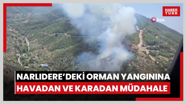Narlıdere'deki orman yangınına havadan ve karadan müdahale