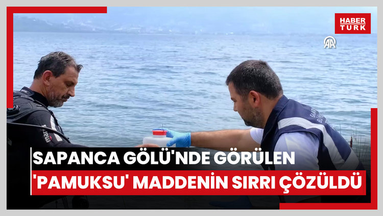 Sapanca Gölü'nde görülen 'pamuksu' maddenin sırrı çözüldü