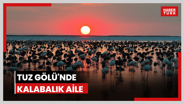 Tuz Gölü'nde kalabalık aile