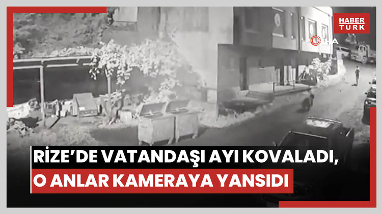 Rize'de vatandaşı ayı kovaladı, o anlar kameraya yansıdı