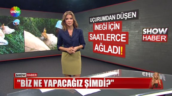 İneği için saatlerce ağladı!