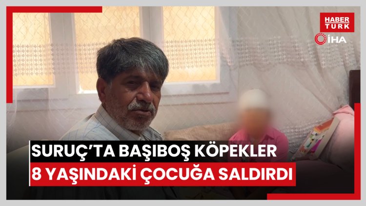 Suruç'ta başıboş köpekler 8 yaşındaki çocuğa saldırdı