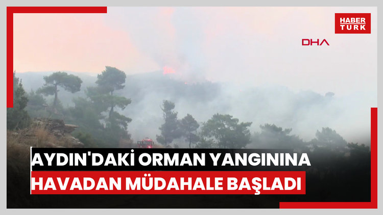 Aydın'daki orman yangınına havadan müdahale yeniden başladı