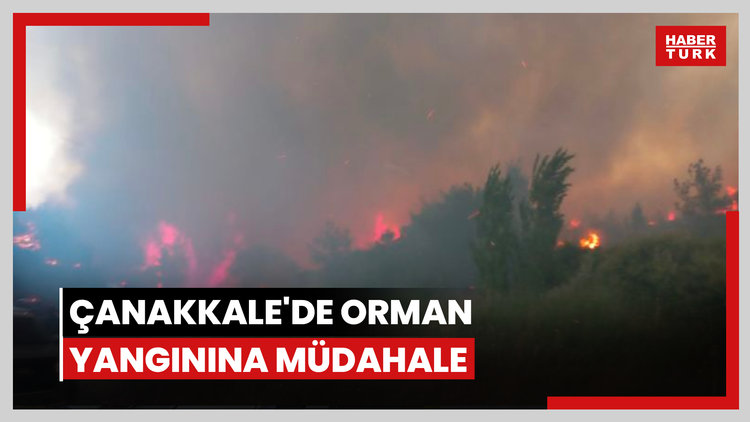 Çanakkale'de orman yangını