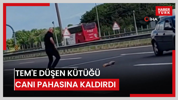 TEM'e düşen 1.5 metrelik kütüğü canını tehlikeye atarak yoldan kaldırdı