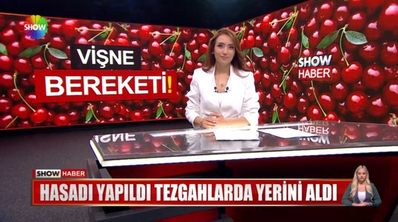 Vişnede bolluk bereketlik var!