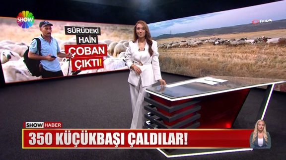 Hırsızların akılalmaz planı!