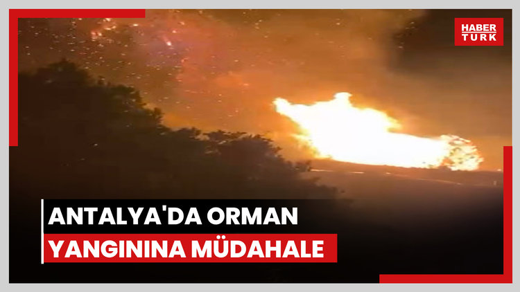 Antalya'da orman yangını
