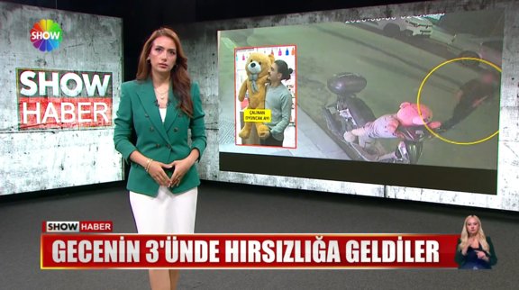 Peluş ayı hırsızları!