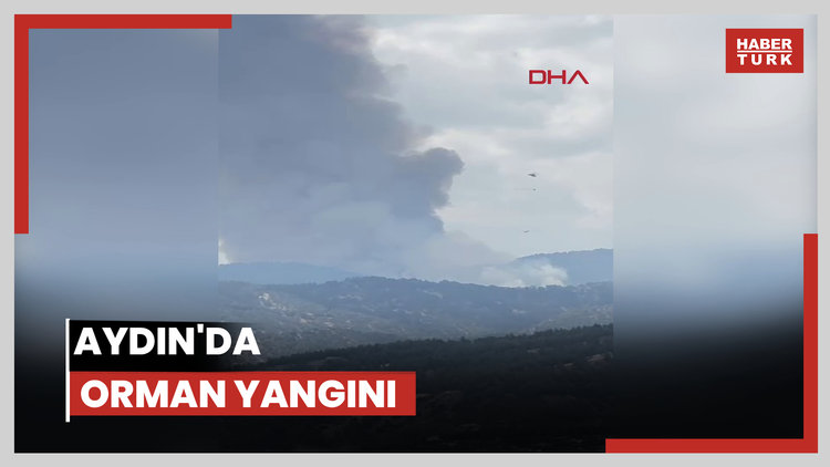 Aydın'da orman yangını