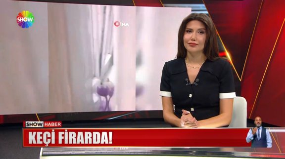 Keçi firarda!