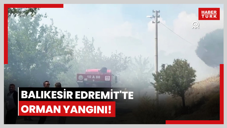 Balıkesir Edremit'te orman yangını!