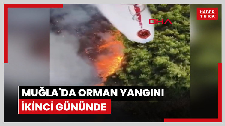 Muğla'da orman yangını ikinci gününde
